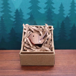 May include: A wooden kiwi bird figurine with a red beak and a white eye, presented in a small cardboard box filled with brown paper shreds. The box rests on a wooden surface, against a forest backdrop.