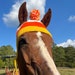 see more listings in the Horse Hats section