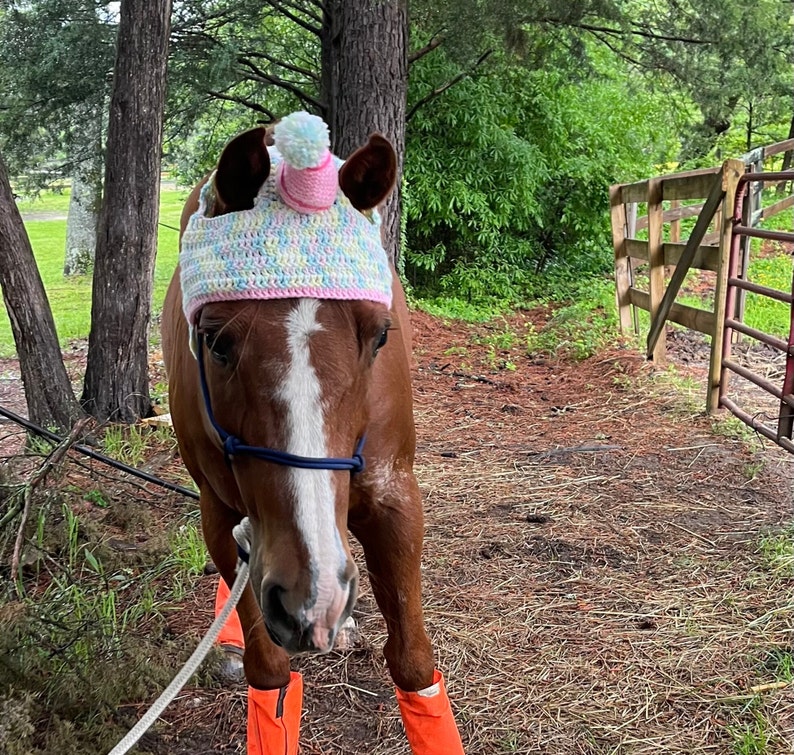 Horse Birthday Hat image 3