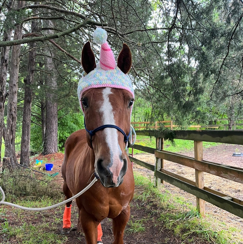 Horse Birthday Hat image 1