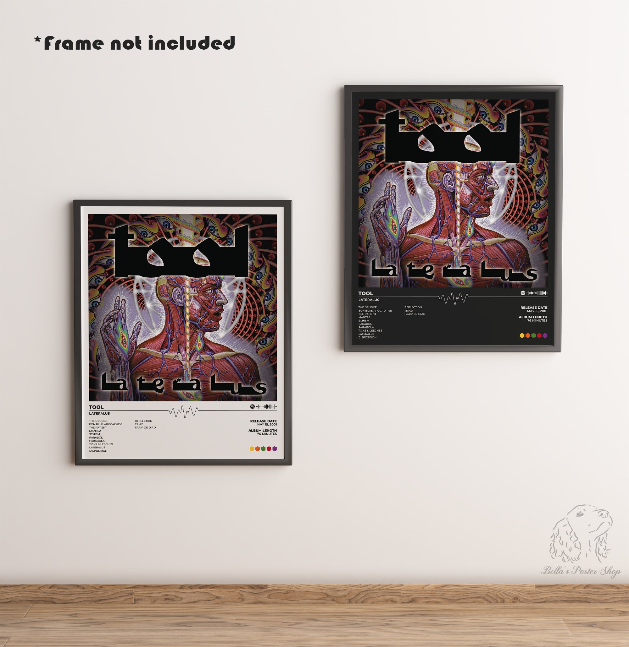 Discover Tool Poster | Lateralus Album | Unframed | Music Album Poster