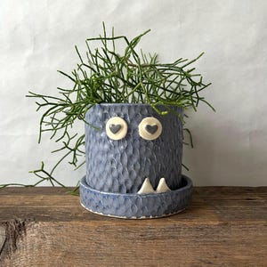 May include: A blue ceramic monster planter with a textured surface, heart-shaped eyes, and white teeth. The planter holds a green plant with thin, twig-like stems. The planter sits on a matching saucer.