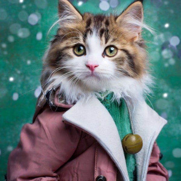 Cat in a Coat Digital Print | Realistic Portrait | Digital Download