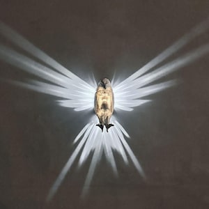 May include: A white light shines through a metal bird sculpture with outstretched wings, casting a bright, starburst pattern on a dark background.