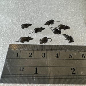 1:12 scale Miniature Rats -  for horror diorama, dollhouse, arts and crafts replica animal mouse black, gray, white (Set of 8)