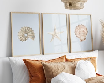Puede incluir: Tres impresiones enmarcadas con ilustraciones de acuarela de conchas marinas y una estrella de mar sobre un fondo azul claro. Las impresiones se muestran en una cabecera blanca con almohadas marrones y naranjas.