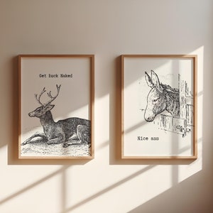 Vintage Bathroom Prints Set of 2, Vintage Donkey Art, Trendy Nice Ass Print, Funny Bathroom Print, College Bathroom Decor, DIGITAL DOWNLOAD