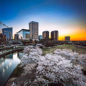 Sunrise Blossoms Richmond Virginia RVA Photo Print Wall Art