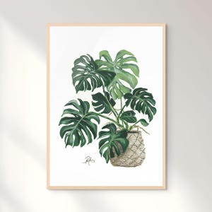 May include: A framed watercolour painting of a Monstera plant. The plant has large, green, split leaves and is potted in a woven basket. The artwork is set against a white background and framed in light wood.