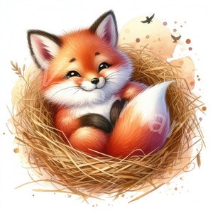 Clipart animaux, 12 JPG, téléchargement numérique, aquarelle, créations numériques en papier, clipart fabrication de cartes, albums de coupures, agendas numériques, livres de souvenirs