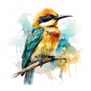 Clipart di uccelli mangiatori di api, 12 JPG, clipart ad acquerello, bellissime clipart di uccelli, artigianato di carta digitale, clipart per la creazione di carte, download digitale