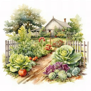 Clipart aquarelle de jardin, 8 JPG, téléchargement numérique, porte de jardin, clipart d'été, clipart art mural, fabrication de cartes, journal indésirable, agenda numérique