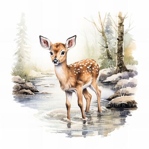 Forest fawn clipart, 11 jpg, aquarel clipart, maken van clipart, junk journal, muur clipart, digitale papierkunst, digitale download