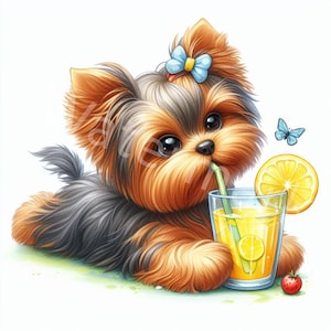 Clipart chien Yorkshire Terrier, 11 jpg, téléchargement numérique, illustrations pour enfants, chien stylisé, clipart mural, fabrication de cartes, journal indésirable
