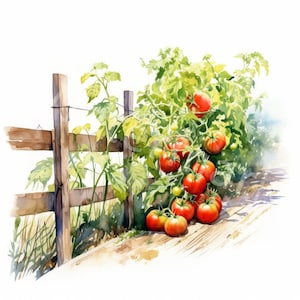 Gemüse Garten Clipart, 12 JPG, Digital Download, Kartenherstellung Clipart, Gemüse Clipart, Junk Journal, Digitales Papierhandwerk, Erinnerungsbuch