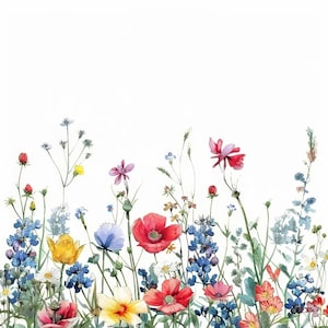Blumen Rahmen Aquarell Clipart, 12 JPG, digitaler Download, digitales Papier, Wildblumen Rahmen, Clipart, Kartenherstellung, Wandkunst