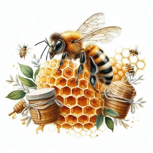 Clipart abeille, 12 JPG, téléchargement numérique, clipart fabrication de cartes, clipart insecte, clipart miel, journal indésirable, créations numériques en papier, livre de souvenirs