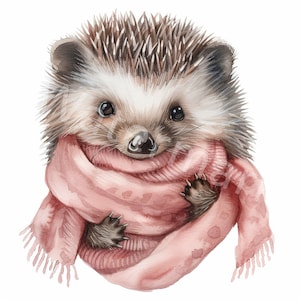 Hedgehog Clipart 12 JPG Digital Download Animals Clipart Illustrations for Kids  Digital Paper Crafts Card Making Junk Journal Scrapbooking