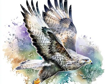水彩画のワシのクリップアート：飛んでいる鳥のイラスト（デジタル
