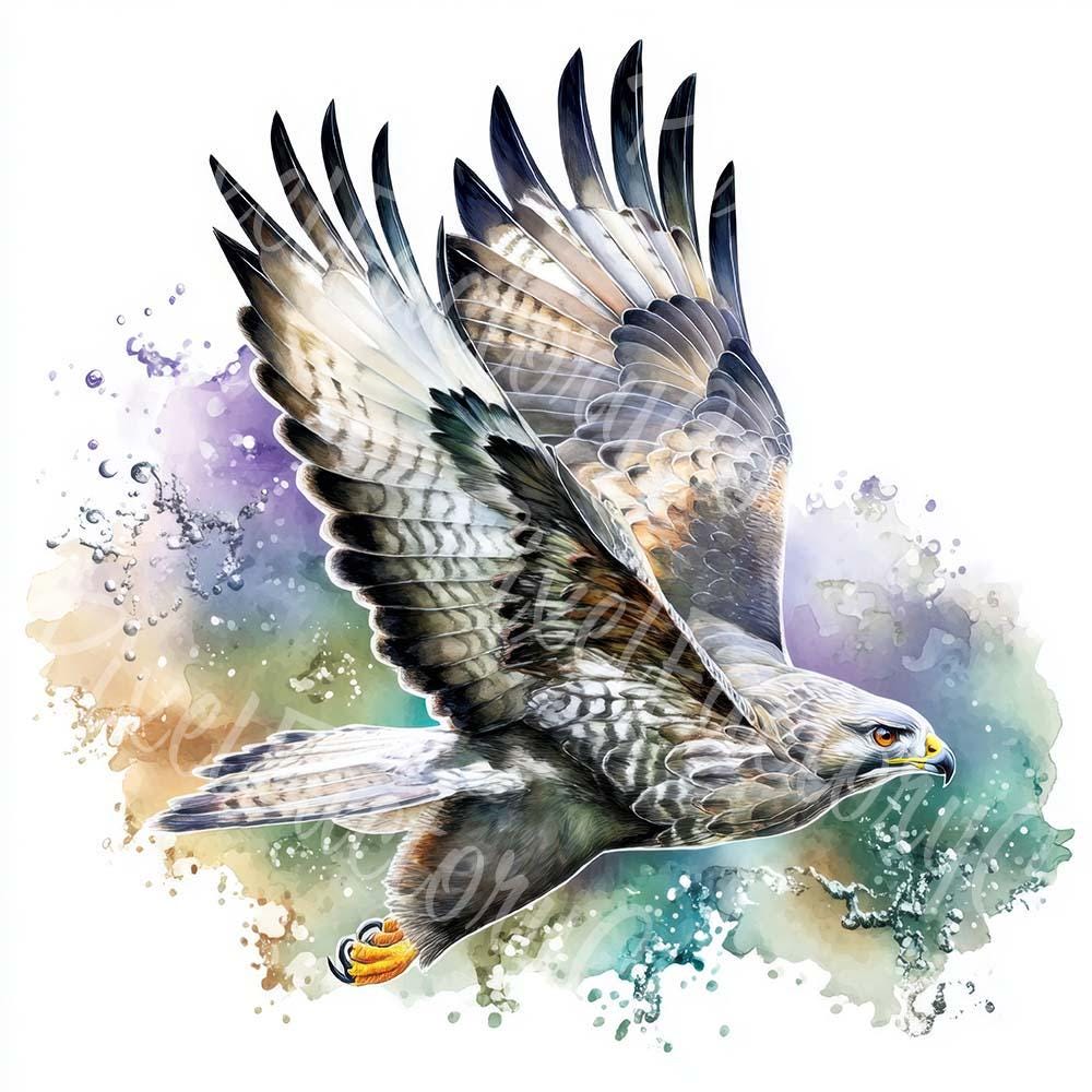 水彩画のワシのクリップアート：飛んでいる鳥のイラスト（デジタル