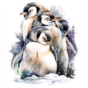 Clipart aquarelle pingouin oiseau arctique JPG bébé mignon pingouin peinture téléchargement numérique Illustration pour cartes d'art mural scrapbooking artisanat
