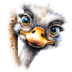 Conjunto de imágenes prediseñadas de avestruz divertido en formato JPG, paquete de imágenes prediseñadas de animales de dibujos animados para hacer tarjetas, arte de pared, pósteres, manualidades, decoración de habitaciones infantiles, descarga digital