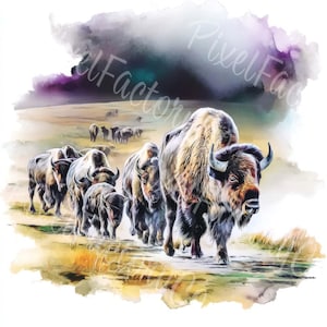 Buffalo Bison Clipart Bundle Wildlife Animal Art Watercolor Buffalo Family Prints JPG Digital Download Printable Wall Art Scrapbooks Crafts