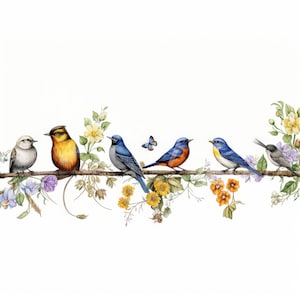 Clipart bordure oiseaux aquarelle, 12 JPG, téléchargement numérique, travaux manuels en papier numérique, clipart cadre oiseaux, clipart fabrication de cartes, fabrication d'invitations