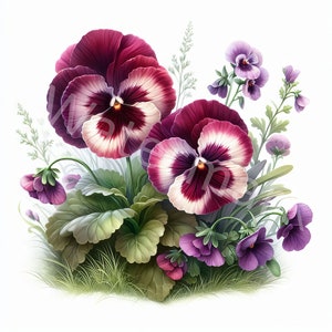 Kwiaty bratków akwarela clipart, 12 jpg, pobieranie cyfrowe, cyfrowe rzemiosło papierowe, tworzenie kartek, zaproszenia, dziennik śmieci, wykorzystanie komercyjne