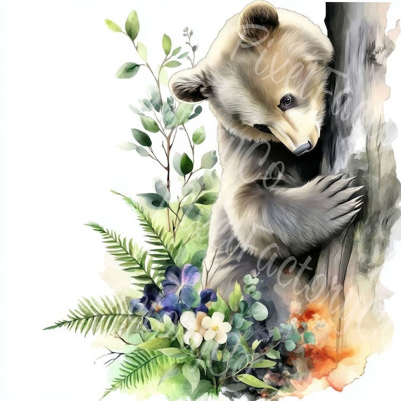 水彩クマのクリップアートバンドル：森の動物イラスト（JPGデジタル