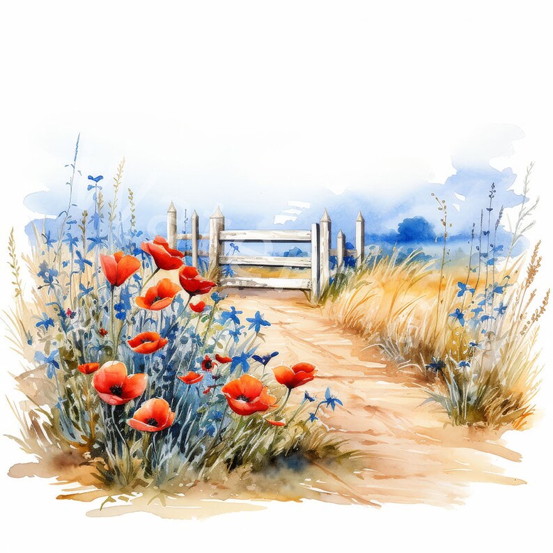 May include: A watercolor painting of a white picket fence with a dirt path leading through a field of red poppies and blue wildflowers.