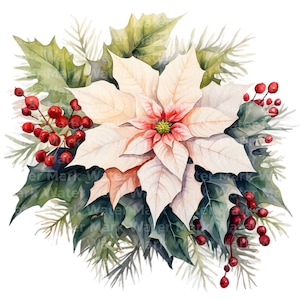 Christmas Poinsettia Clipart, 12 Jpg, Watercolor Clipart, Card Making ...