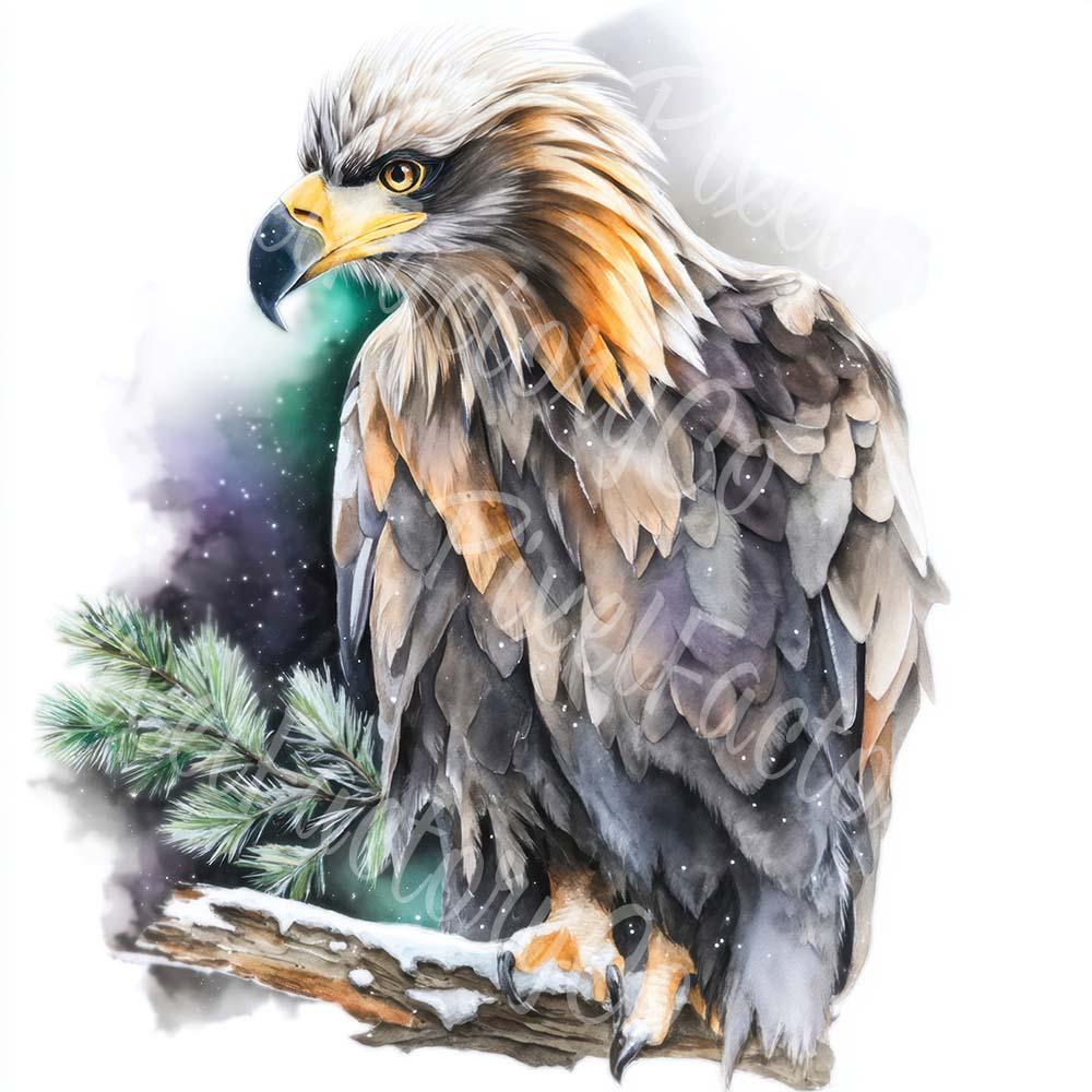 水彩画のワシのクリップアート：飛んでいる鳥のイラスト（デジタル