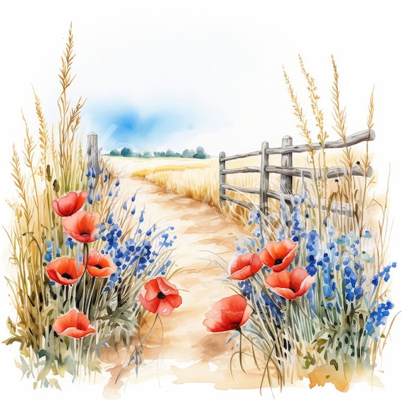 Watercolor Countryside Clipart: Poppy & Cornflower Road (Digital Download)