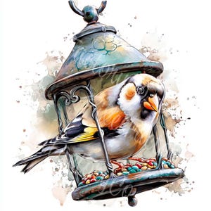 Clipart oiseau aquarelle mignon 12 JPG mangeoire pour oiseaux Mésange bleue Chardonneret élégant automne hiver Art usage commercial Artisanat cartes Scrapbooking Stickers