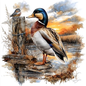 Pato em voo Clipart Ilustração animal Pato Gráficos Junk Journal Papel Artesanato Adesivos Convites Cartão Fazendo Digital Download 12 JPG