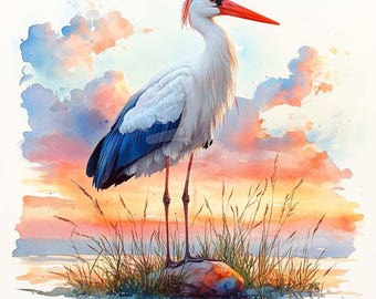 水彩コウノトリのクリップアート：鳥のイラスト、デジタルペーパー
