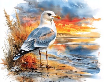 水彩カモメのクリップアート：海辺の鳥のグラフィック（デジタル