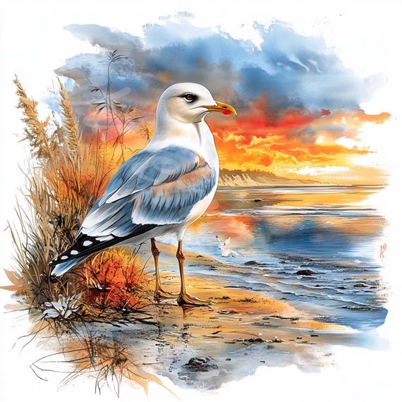 水彩カモメのクリップアート：海辺の鳥のグラフィック（デジタル