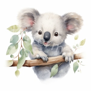 Clipart koalabeer, 12 JPG, Digitale download, Dieren Clipart, Plakboeken, Muurkunst, Kaarten maken, Junk Journal, Digitale planner