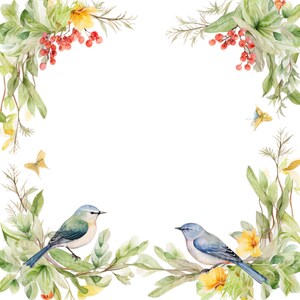 Aquarelle oiseaux cadre clipart, 10 JPG, créations numériques en papier, clipart bordure cadre, clipart fabrication de cartes, fabrication d'invitations, téléchargement numérique