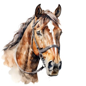 Clipart cheval aquarelle, 12 JPG, beaux chevaux, clipart animaux, créations numériques en papier, clipart de fabrication de cartes, graphique, téléchargement numérique