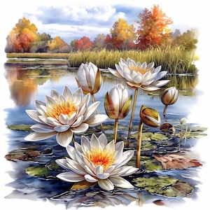 Aquarelle nénuphars Clipart 12 JPG paysage d'automne fleurs d'eau indésirable journal papier numérique artisanat cartes téléchargement numérique Scrapbooking