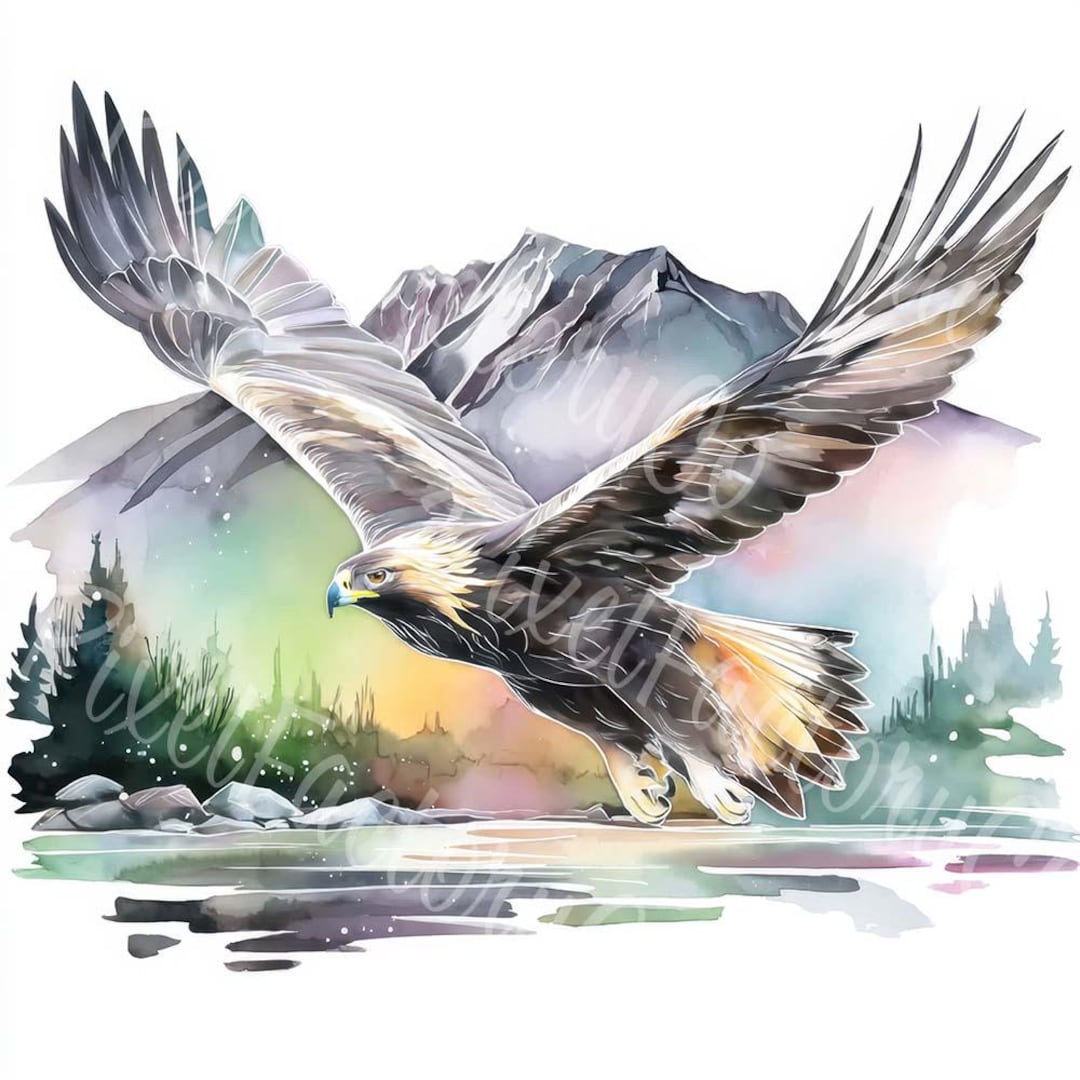 水彩画のワシのクリップアート：飛んでいる鳥のイラスト（デジタル