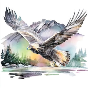 Aquarel adelaar clipart vliegende vogel JPG digitale afbeelding Wildlife kunst afdrukbare zeearend schilderij voor muur kunst kaarten plakboek ambachten