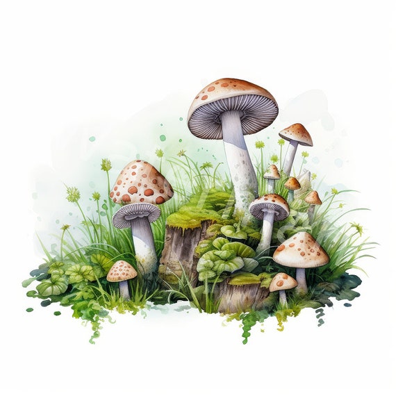 mushroomさま専用ページ Mushroom Border Clipart, 12 JPG, Digital Download, Digital