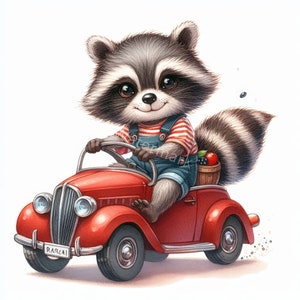 Clipart aquarelle de raton laveur, 11 jpg, téléchargement numérique, raton laveur stylisé, travaux manuels en papier, fabrication de cartes, journal indésirable, livre de souvenirs, usage commercial