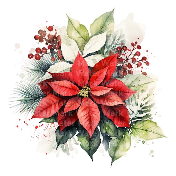 Aquarell Weihnachtsstern Clipart: Kartenherstellung & Dekoration (digitaler  Download) - Etsy sterreich