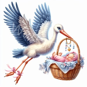 Cigogne avec bébé clipart, 12 JPG, téléchargement numérique, baby shower, cigogne avec fille et garçon, clipart mural, fabrication de cartes, journal indésirable, faire-part