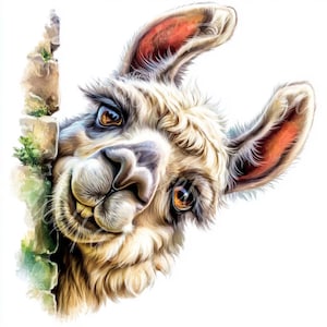 Funny Llama Clipart Digital Download Cartoon Alpaca Party Illustration For Printing Crafts Scrapbooking Cards Wall Art DIY Decor Stickers